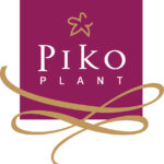 Piko plant