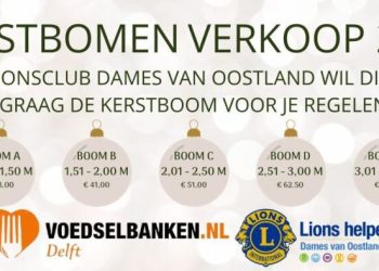 Lions kerstboom